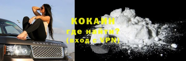 гидра Новозыбков