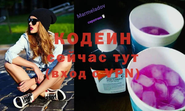 гидра Новозыбков