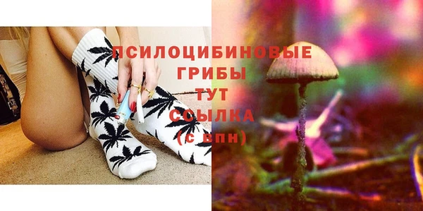 гидра Новозыбков